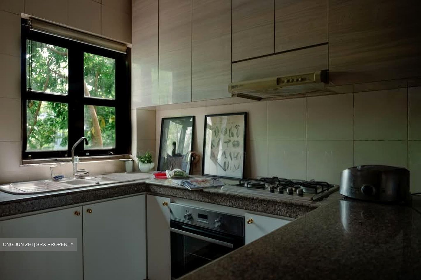 Emerald Hill Conservation Area (D9), Shop House #593642861